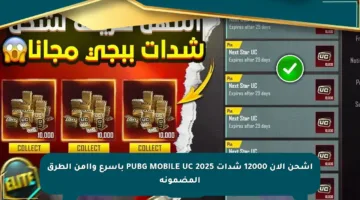اشحن الآن 12000 شدات PUBG MOBILE UC 2025 بأسرع وأأمن الطرق المضمونة